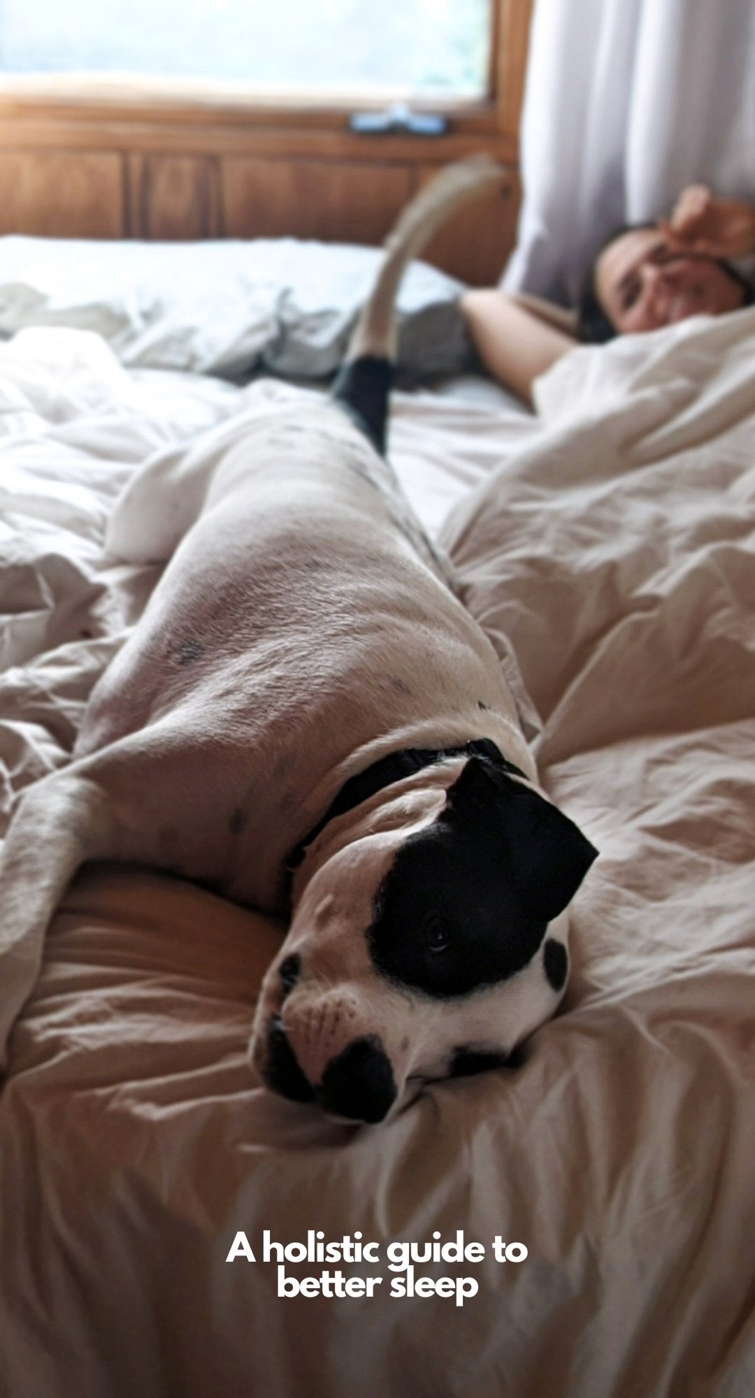 A Holistic guide to better sleep - OrganicDarlings