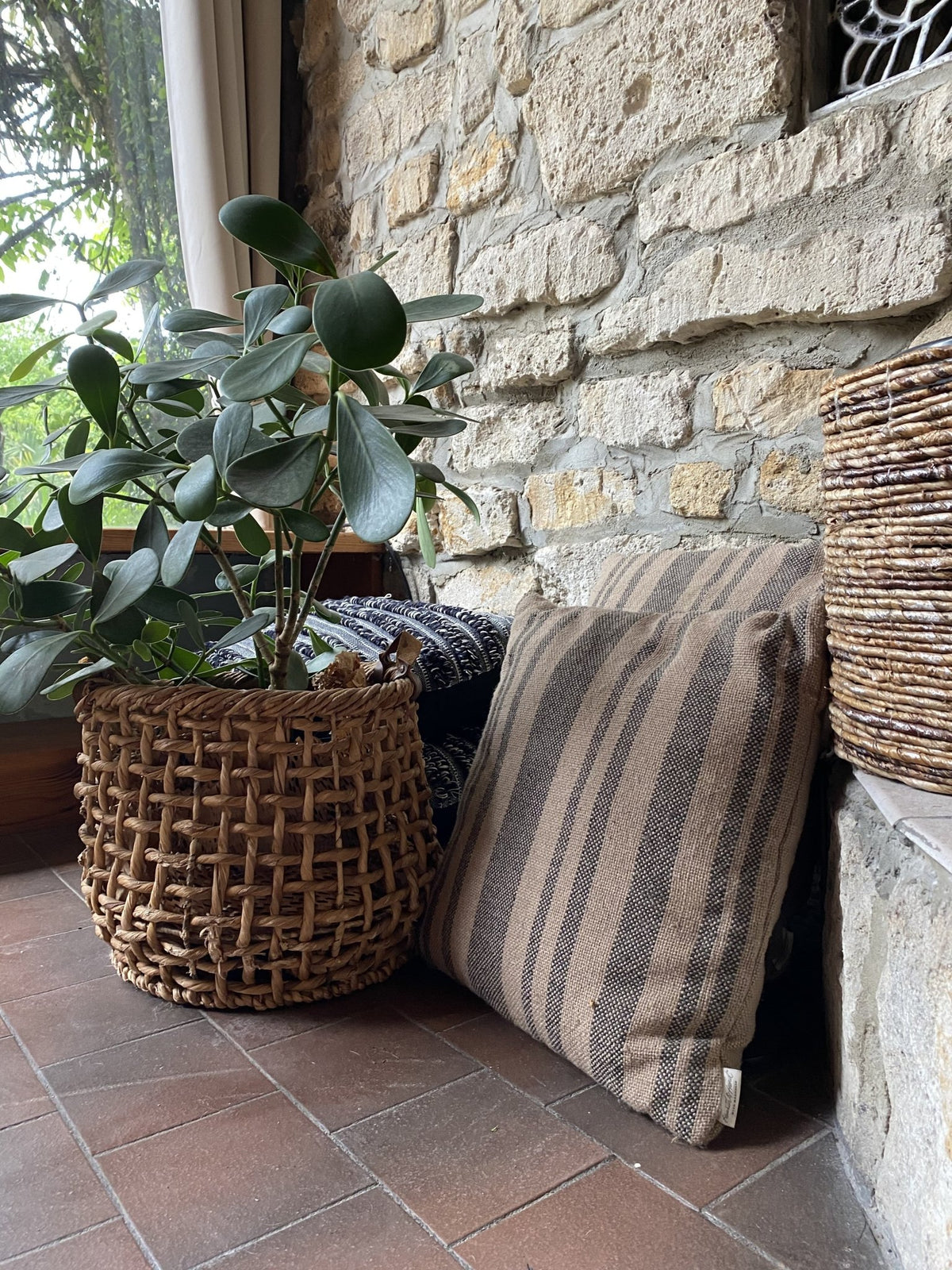 Creating a non-toxic Home - OrganicDarlings