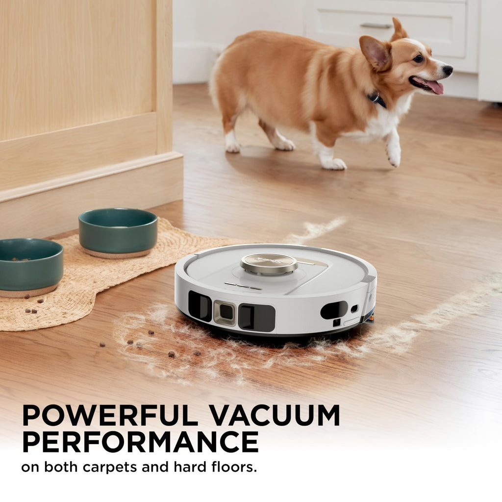 VACUUM AND MOP!