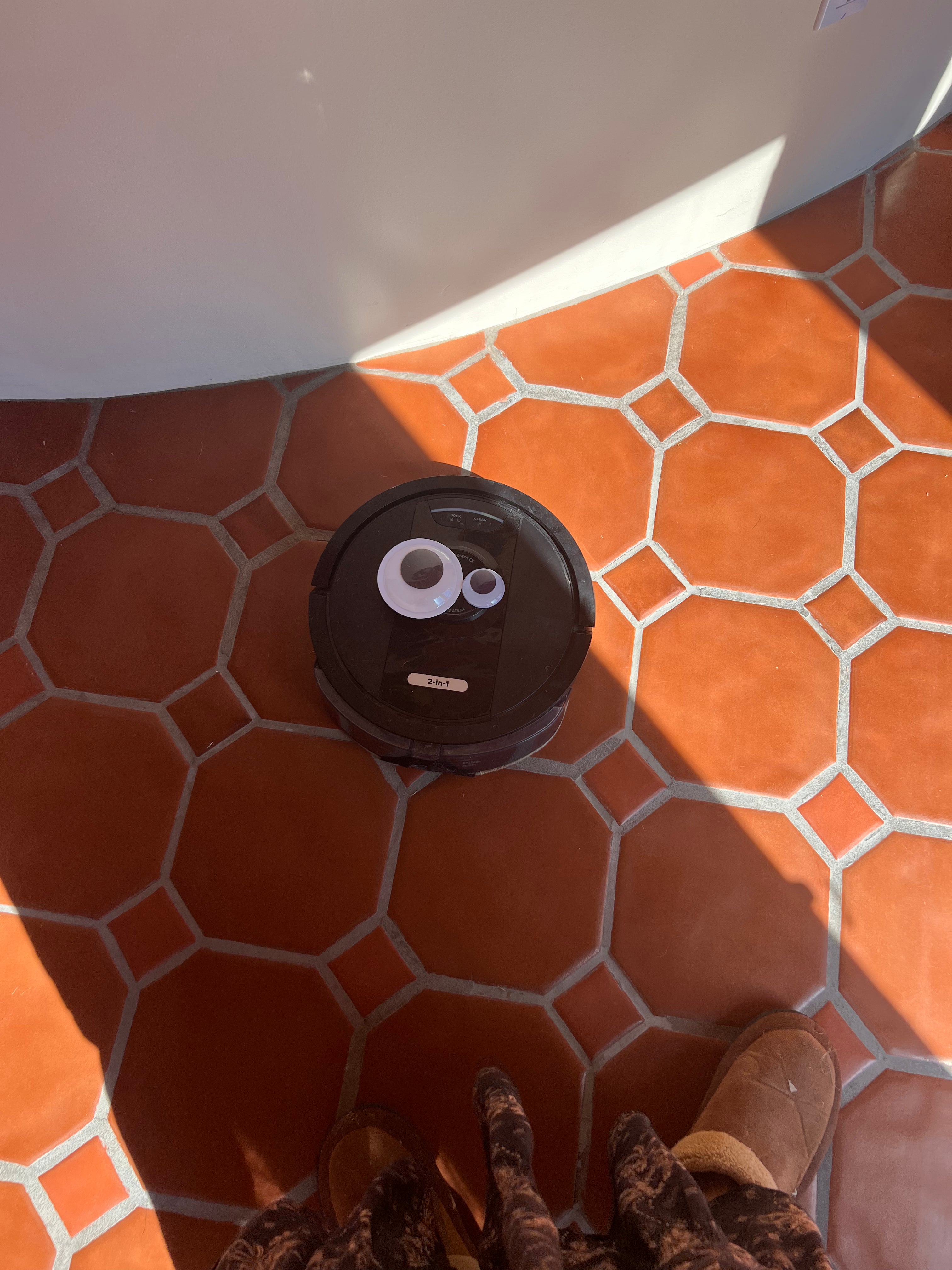 VACUUM AND MOP!